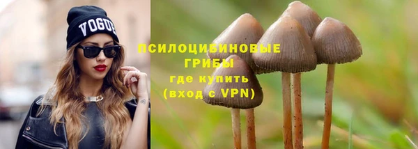 spice Куйбышев
