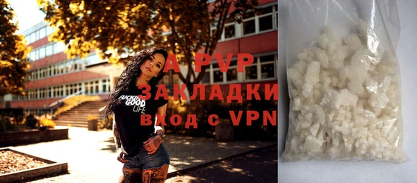 spice Куйбышев