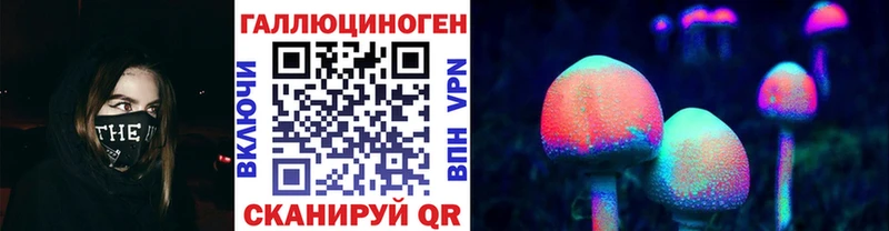 Купить  Будённовск  Галлюциногенные грибы Psilocybine cubensis 